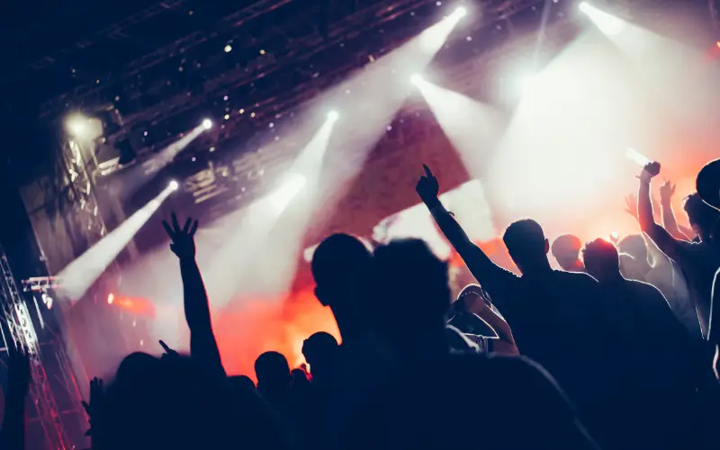 Festival DJs Festival DJ Entertainment| Bassline DJs