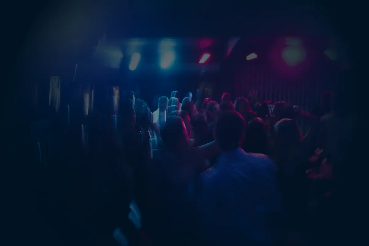 Bassline DJs Crowd Party